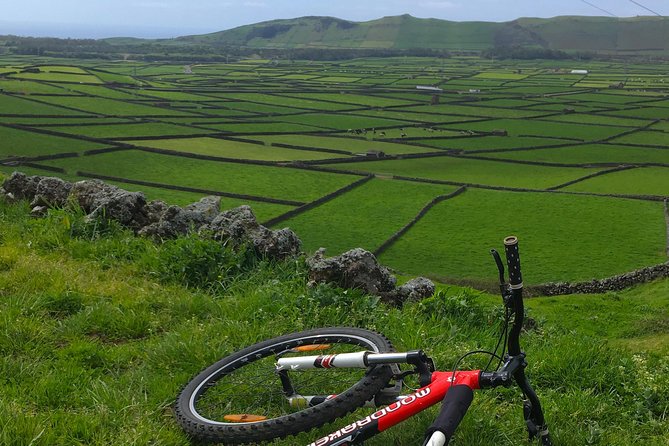 Patchwork e-Bike Ride - The Guide: Knowledge and Personal Touch