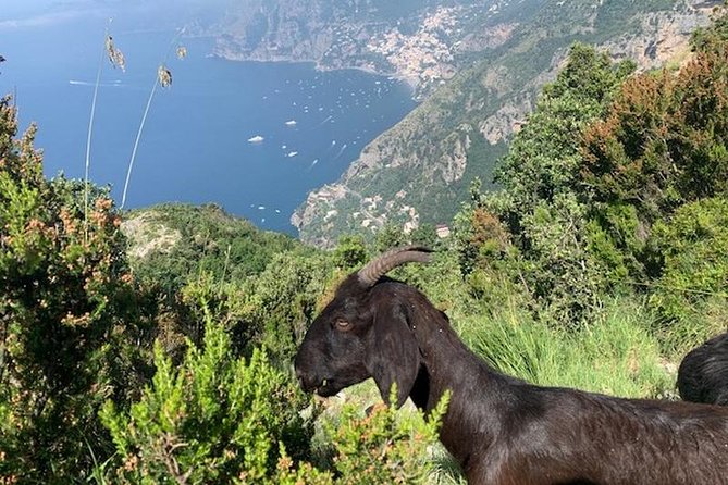 Path of the gods hike - Key Points