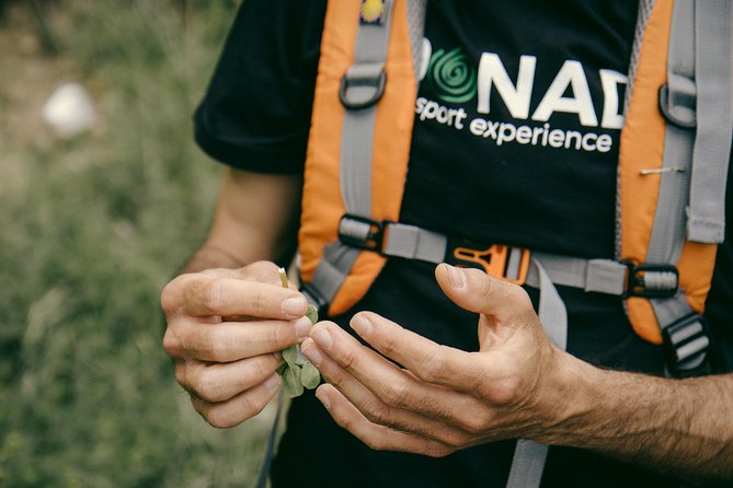 Path of the Gods Private Guided Hiking Experience - The Sum Up: An Authentic and Scenic Amalfi Coast Hike