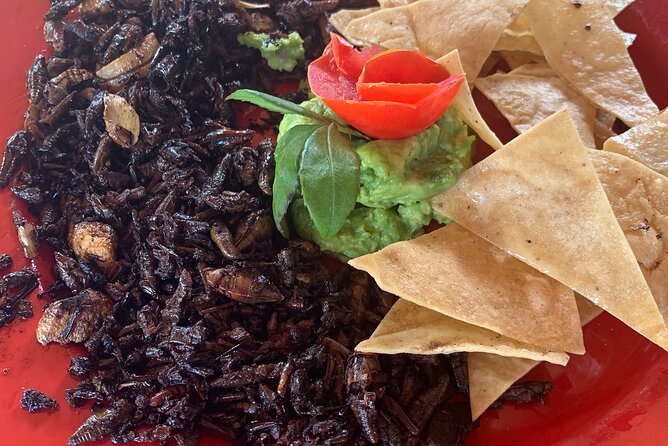 Paths of Mezcal - Relaxing at Hierve el Agua’s Natural Wonder
