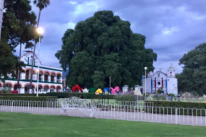 Paths of Mezcal - Value and Cost Considerations