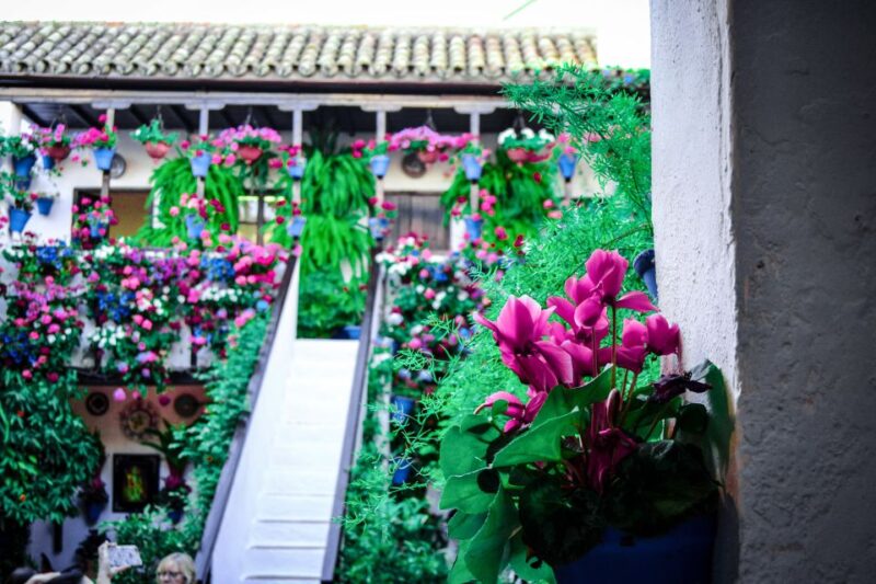 Patios of Cordoba Walking Tour - Discover the Charm of San Basilio Neighborhood