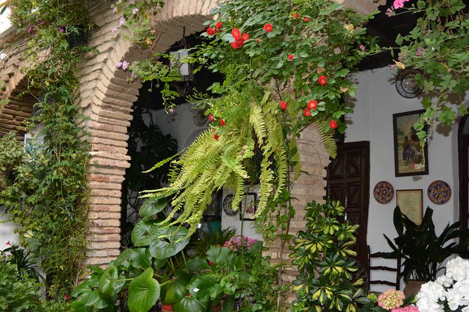 Patios & Perfums of Cordoba Festival Tour - Starting Point and Meeting Details in Córdoba