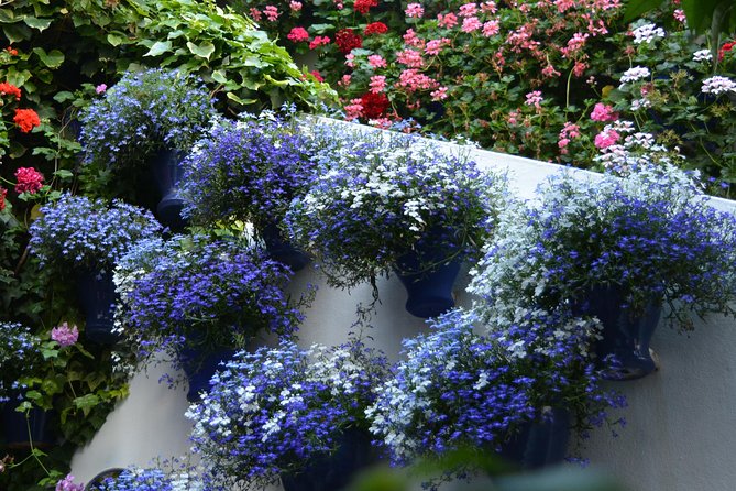 Patios & Perfums of Cordoba Festival Tour - Practicalities: Timing, Group Size, and Accessibility