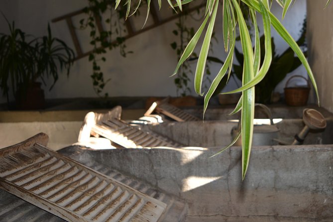 Patios & Perfums of Cordoba Festival Tour - Comparing the Guided Tour to Self-Guided Visits