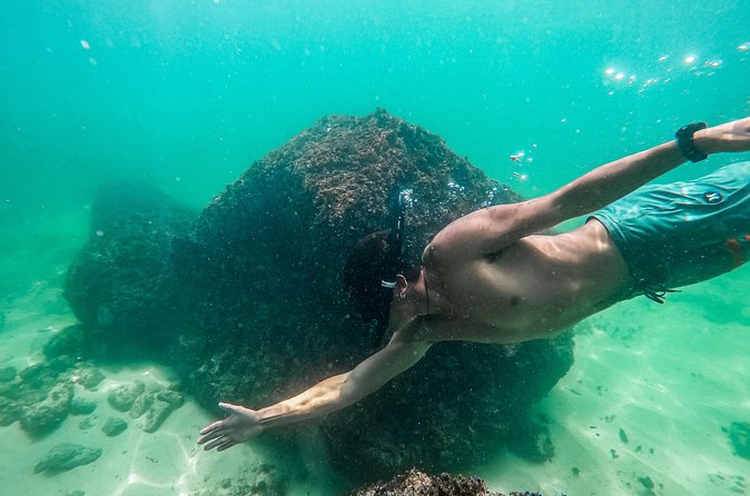 Pato Bobo Snorkeling Tour in Puerto Vallarta - Inclusions and Practical Details
