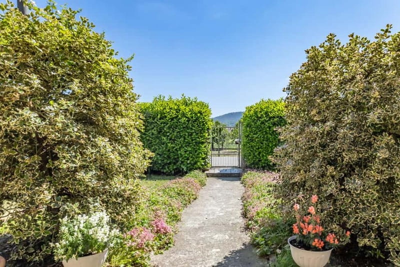 Pavia: Dining Experience at a Local's Home - Meeting Your Host at Their Home in Pavia