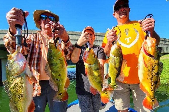 Peacock Bass Fishing Trips near Boca Raton - Practical Details: Meeting Point, Weather, and Cancellation Policy