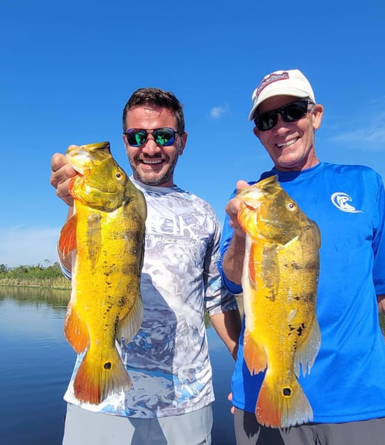 Peacock Bass Fishing Trips Near Miami Florida - Catching colorful peacock bass and clown knife fish