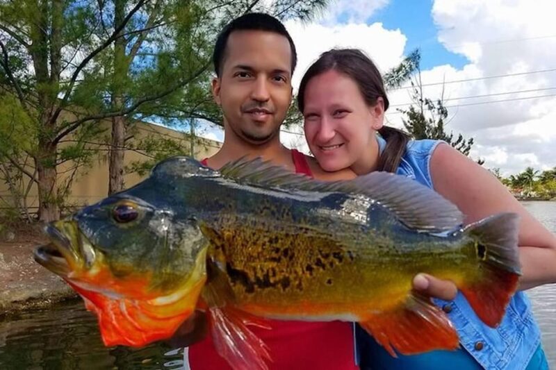 Peacock Bass Fishing Trips Near Miami Florida - Pricing and booking flexibility