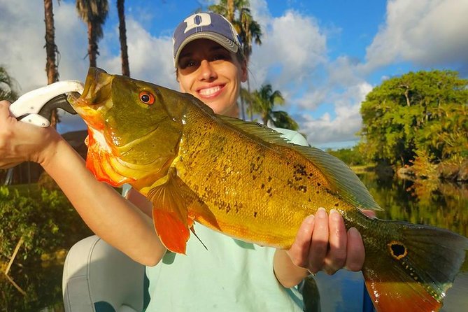 Peacock Bass Fishing Trips Near Miami Florida - Expert Captains and Friendly Guidance