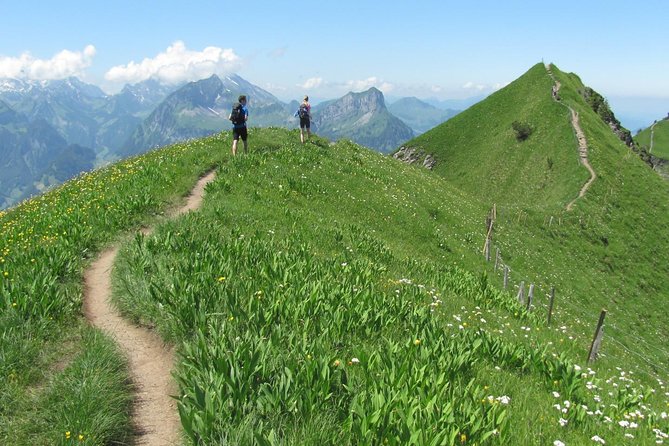 Peak to Peak Private Hiking Tour from Lucerne - Key Points
