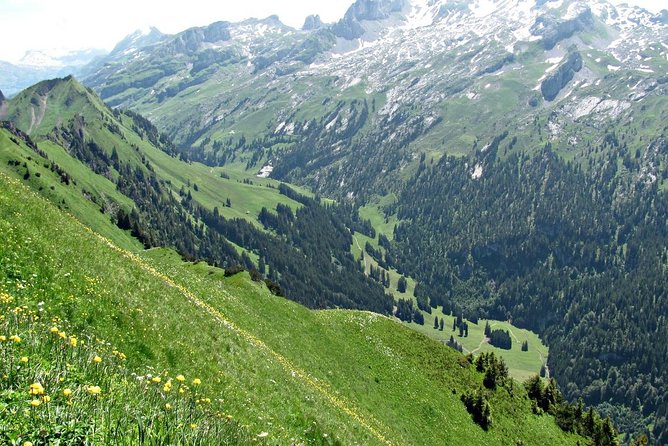 Peak to Peak Private Hiking Tour from Lucerne - Tailored Experience with a Private Guide