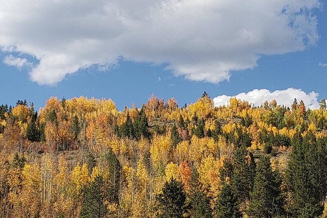 Peak to Peak Scenic Byway and Estes Park - Exploring Nederland: Quirky Charm and Mining History