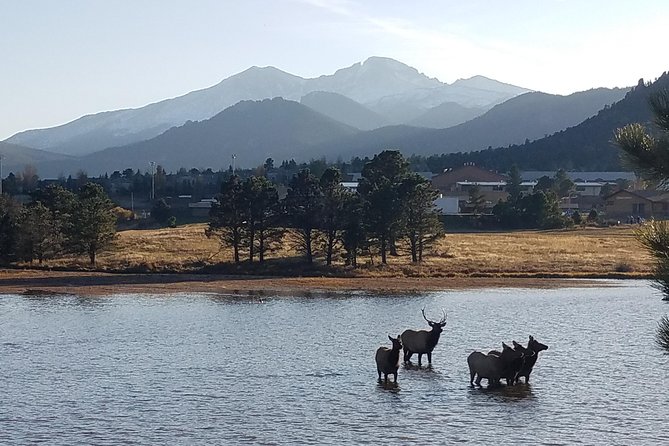 Peak to Peak Scenic Byway and Estes Park - Free Time to Explore Downtown Estes Park