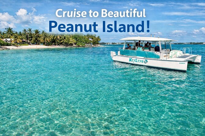 Peanut Island Sandbar and Swim Tour - Key Points