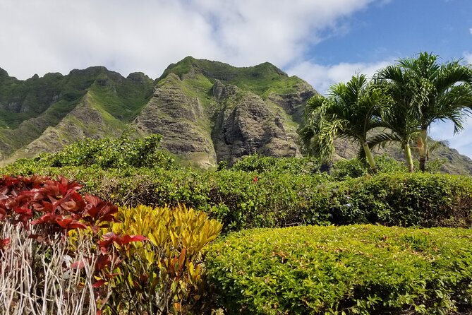 Pearl Harbor, Dole, N.Shore luxury group priced Customizable tour - The North Shore and Local Cuisine Experience