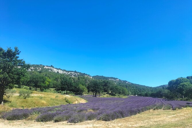 Pearls of Luberon : Gordes, Rousillon & Sénanque Abbey - Key Points