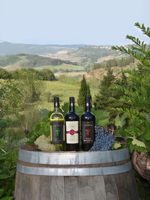 Peccioli: Wine tasting experience - Peccioli: Wine Tasting Experience – An Authentic Taste of Tuscany