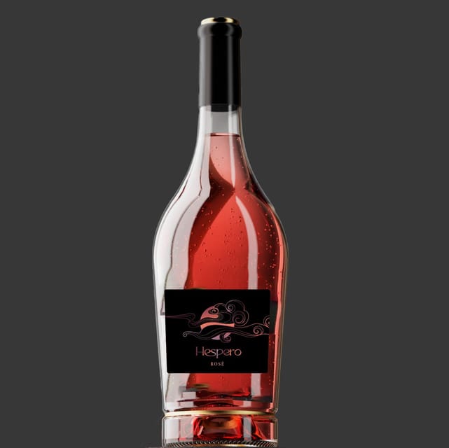 Peccioli: Wine tasting experience - Key Points