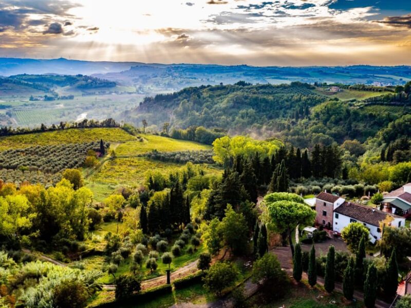 Peccioli: Wine tasting experience - Traditional Winemaking in Tuscany
