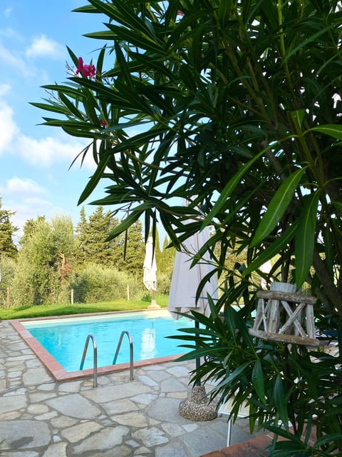 Peccioli: Wine tasting experience - Who Should Consider This Tour?