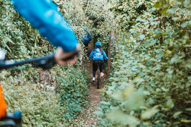 Pedals & Flavours: Sorrento oil and lemon tour - Exploring the Sentieri di Massa Lubrense