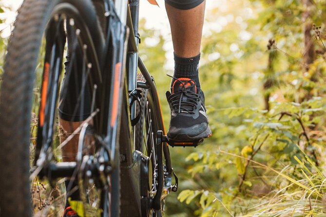 Pedals & Flavours: Sorrento oil and lemon tour - Viewpoints and Photo Opportunities