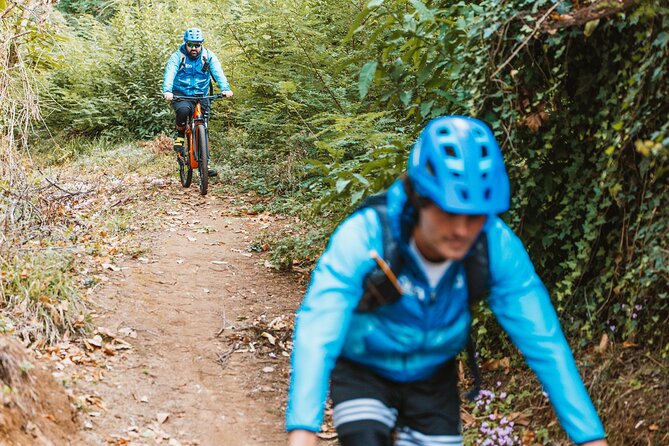 Pedals & Flavours: Sorrento oil and lemon tour - Limitations and Considerations Based on Reviews