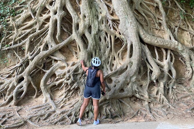 Pedego Electric Bike Tour at Greenville - Why Choose This Greenville Bike Tour?