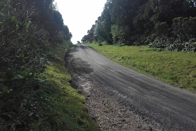 Pedestrian Walk Vista do Rei Sete Cidades(Half day) - Expert Guide Carlos Enhances the Experience