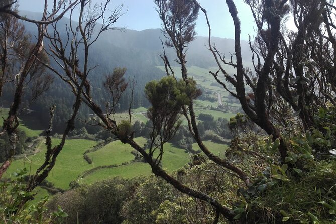 Pedestrian Walk Vista do Rei Sete Cidades(Half day) - Hotel Pickup and Drop-Off Simplify Logistics