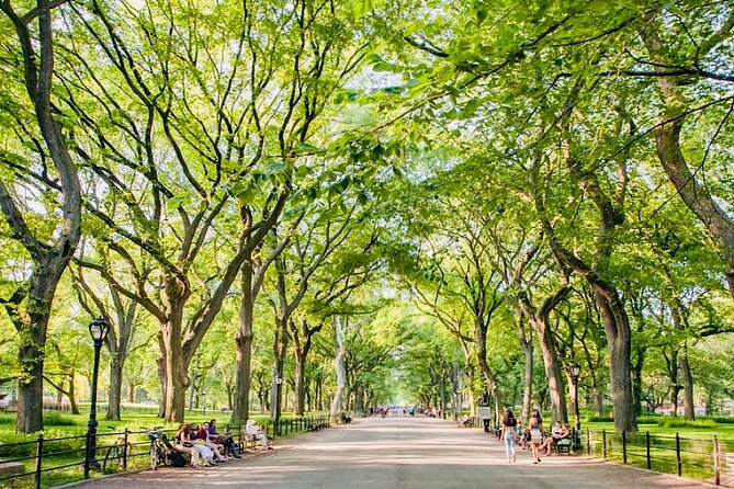 Pedicab Tours Central Park - Insights into the Tour Guide and Commentary Style