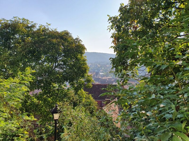 Pele Castle, Bran Castles and Brasov City - Private Tour - Brasov Old Town and the Scenic Mount Tampa