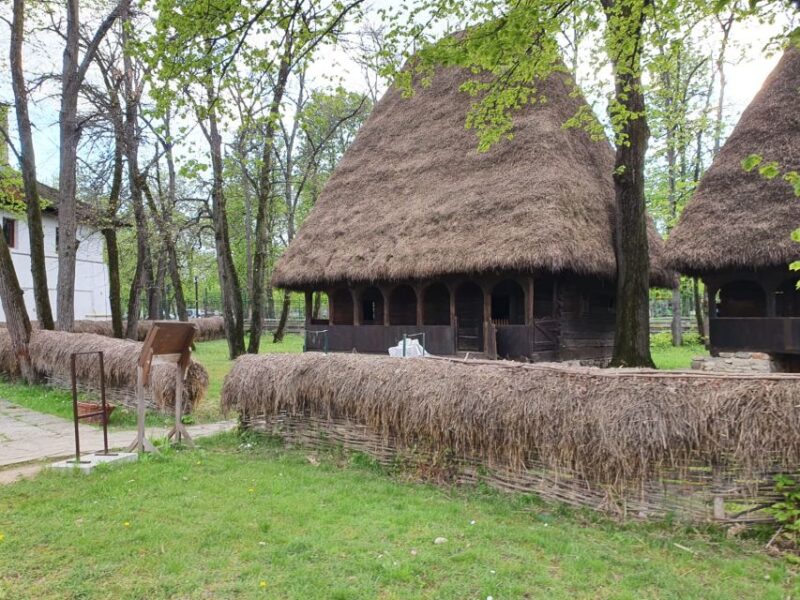 Pele Castle, Bran Castles and Brasov City - Private Tour - The Scenic Drive and Mountain Views