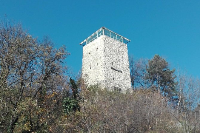 Peles, Bran, Brasov - Logistics and Comfort: Private Transport and Guide