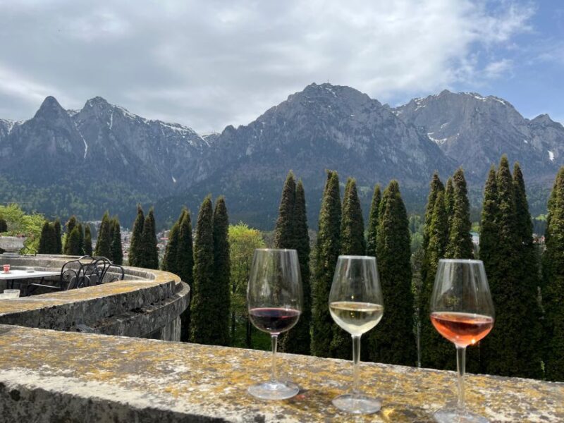 Peles & Cantacuzino Castles: Gourmet Wine & Cultural trip - Tips for Making the Most of the Tour