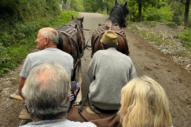 Peles castle and authentic Romanian village experience - day trip - Key Points