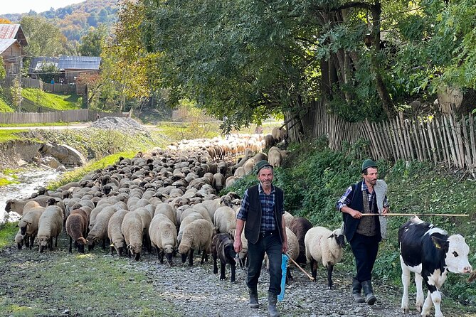 Peles castle and authentic Romanian village experience - day trip - Exploring Valea Doftanei: Romania’s Rural Charm