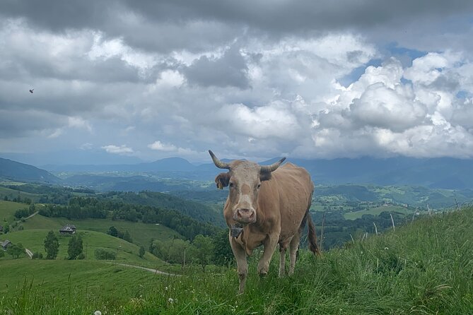 Peles castle and authentic Romanian village experience - day trip - Practical Details: Logistics and Meeting Points