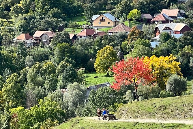 Peles castle and authentic Romanian village experience - day trip - The Guide and Overall Experience