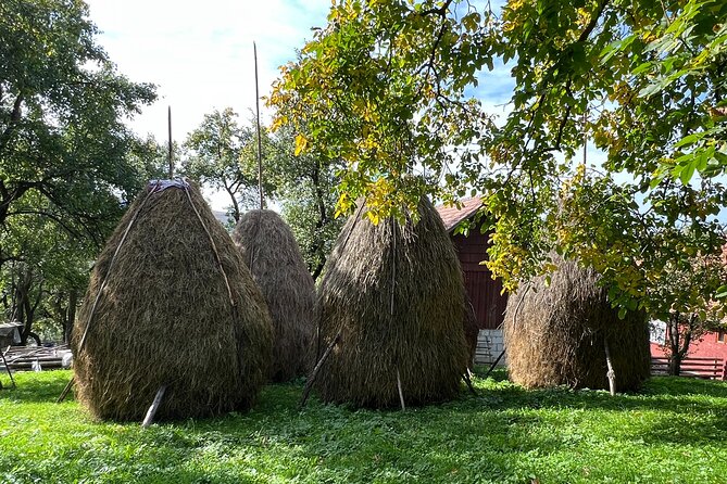 Peles castle and authentic Romanian village experience - day trip - Who Will Appreciate This Tour Most?