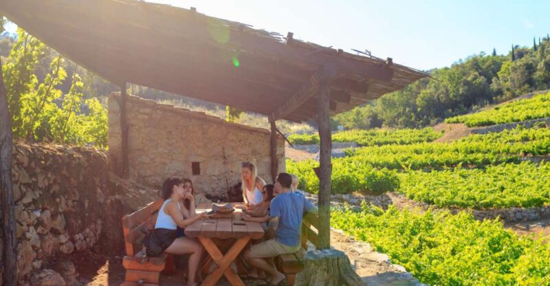 Peljeac Full-Day Wine and Food Tour from Dubrovnik - From Dubrovnik to the Heart of Peljeac’s Vineyards