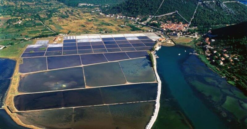 Peljeac Wine & Oyster Tasting Private Tour - Explore Dalmatia’s Flavors and History on the Peljeac Private Tour