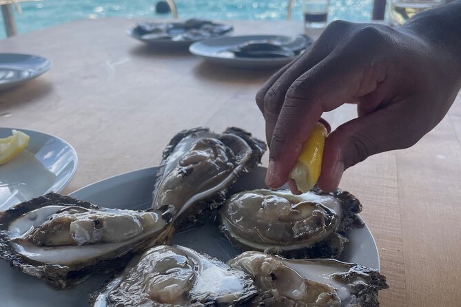 Peljeac - Wine, Oysters and Food Experience from Dubrovnik - Discover the Historic Charm of Ston and the Salt Factory