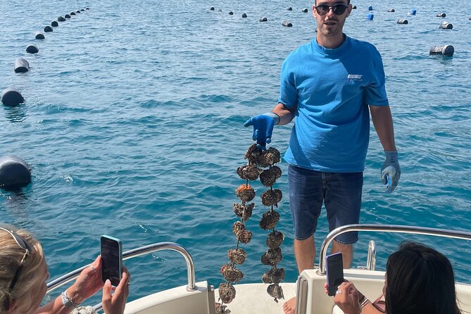 Peljeac - Wine, Oysters and Food Experience from Dubrovnik - Flexibility and Dietary Accommodation