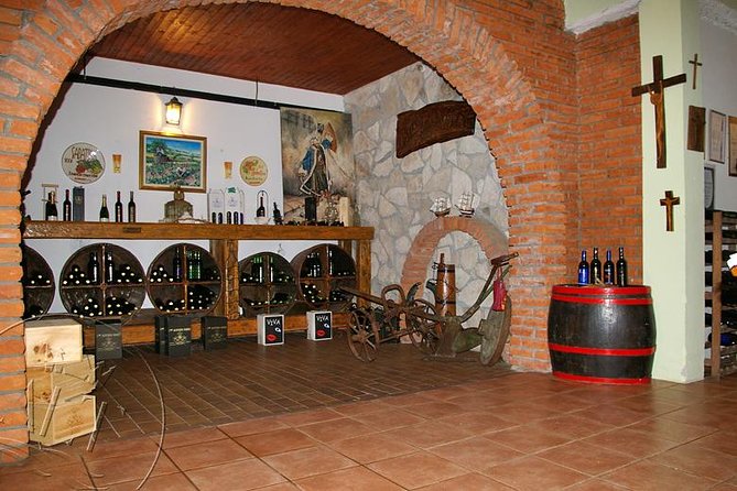 Peljesac Vineyards & Oysters - Private Day Trip from Dubrovnik-Mercedes Vehicle - Scenic Drive Along Dalmatian Coastlines