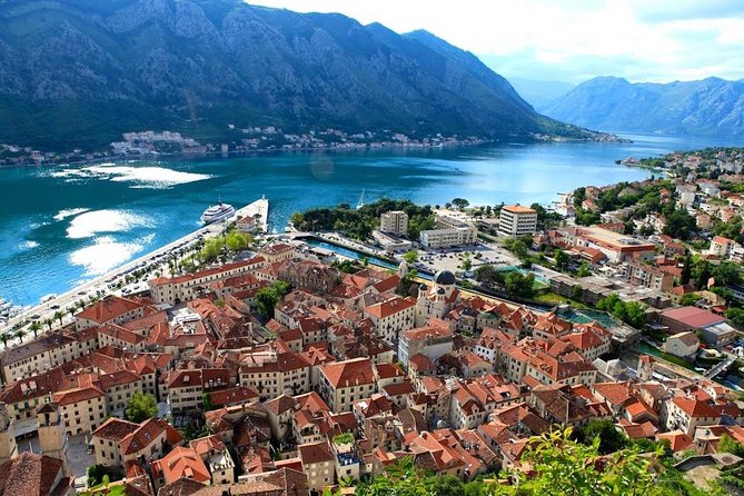 Peljesac Wine and Gastro Tour from Dubrovnik - Sampling Croatian Wines and Olive Oils at Local Wineries