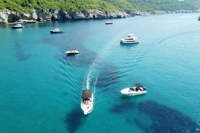 Peljesac Wine and Gastro Tour from Dubrovnik - The Experience of the Guide and Overall Atmosphere