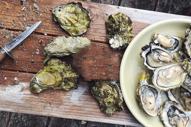 Peljesac Wine & Ston Oysters PRIVATE HALF DAY SHORE TOUR - Wine Tasting in Ponikve Village on Peljesac Peninsula